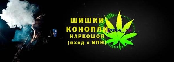 сатива Сосновый Бор