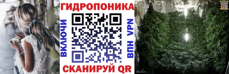 Шишки марихуана план  Щёлкино 